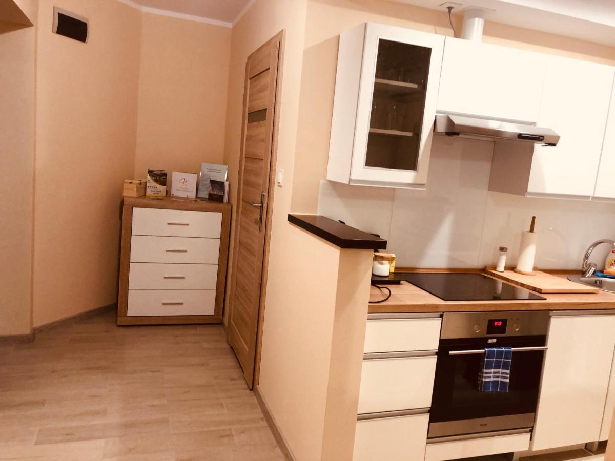 Apartamenty Alicja Dzierżoniów Buitenkant foto